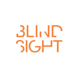 Blindsight Safety System
